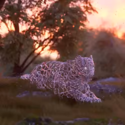 Inner Spirit - The Leopard