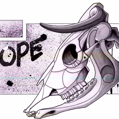 Bull HOPE 2