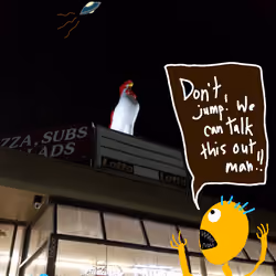 "Don't Jump! (Desperate Chicken)" by Richard F. Yates