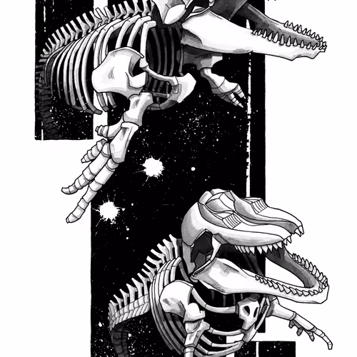 Orca Skeletons Study