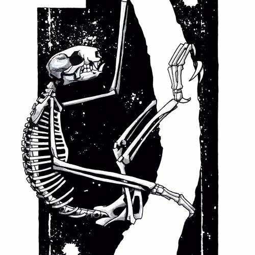 Sloth Skeleton Study