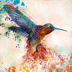 Hummingbird Sketch - 2016
