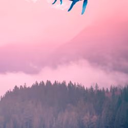 Spirit Whales