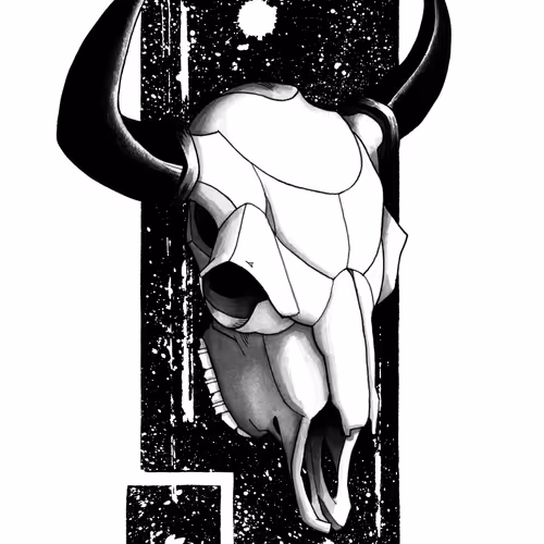 Buffalo Skull Study II