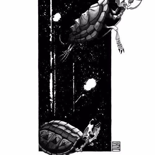 Snapping Turtle Skeletons Study