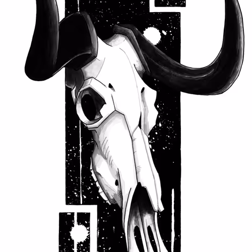 Takin Skull Study