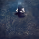 Place of light and darkness