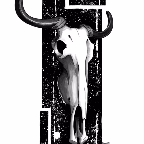 Wildebeest Skull Study