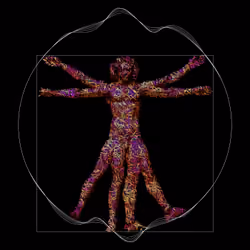 Sacred Masculine - Integration