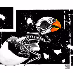Baby Parakeet Skeleton Study