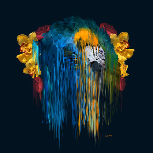Guacamaya