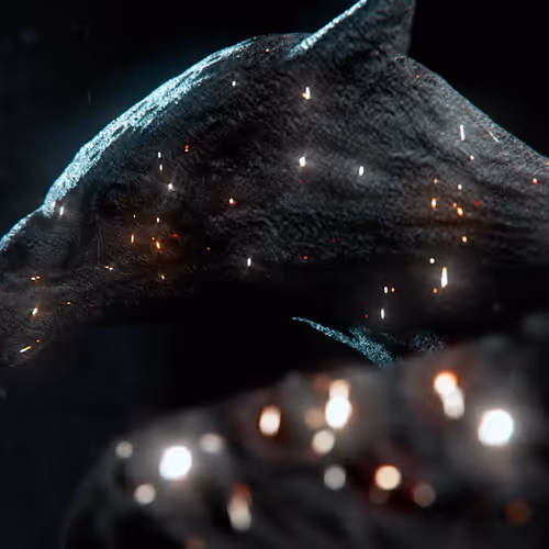 The Phoenix