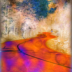 Carbon Fingerprint