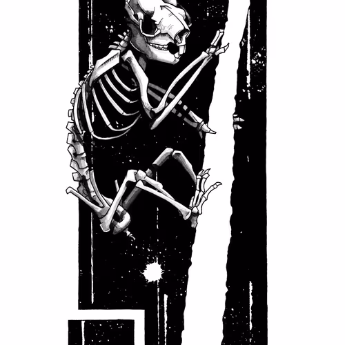 Koala Skeleton Study