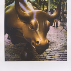 WALL STREET BULL + AR