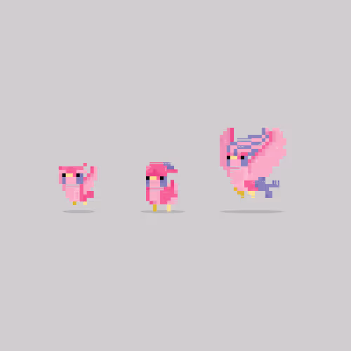 PXLPET 19-21 [EVOLUTIONS EDITION]
