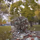 Jumbleweed