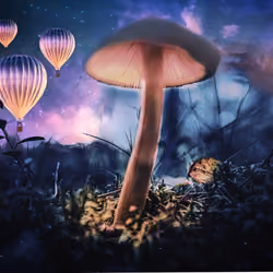 Mushroom with baloons