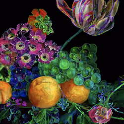 Tulipmania