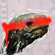 23913