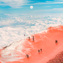 The Forever Sea