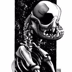 Pug Skeleton Study