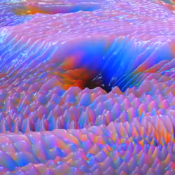 RAINBOW LAND