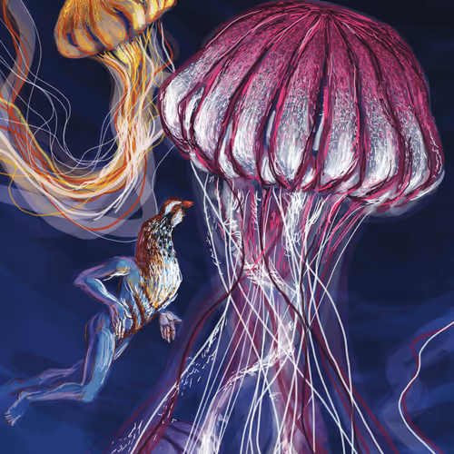 Codorniz Medusa