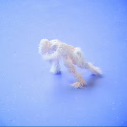Furryman