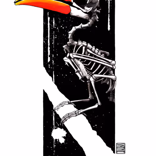 Hornbill Skeleton Study