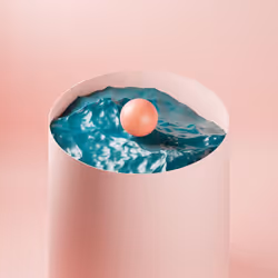 Focus