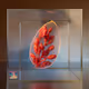 Ancient Seed #325