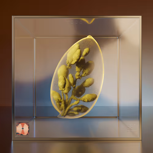 Item #381 Media