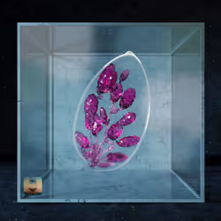 Ancient Seed #58