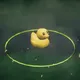 57896044618658097711785492504343953986864971277826390052746097519379538247740