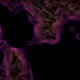 5560