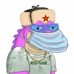 1243