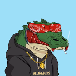 Croc #1749