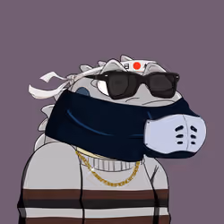 Croc #2826