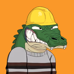 Croc #4043