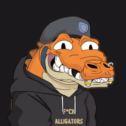Croc #4117