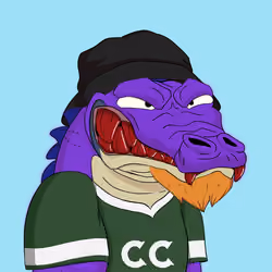 Croc #3306