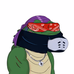 Croc #1717