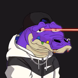 Croc #3476