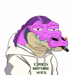 Croc #585