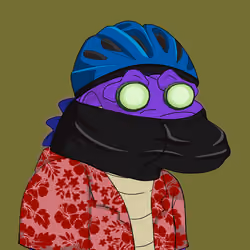 Croc #3232