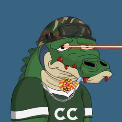 Croc #2992