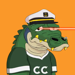 Croc #290