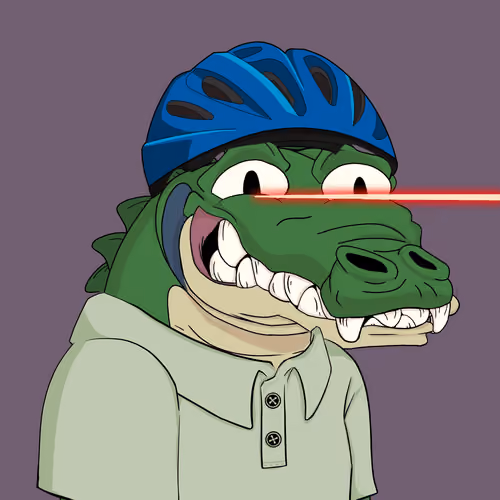 Croc #593