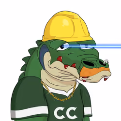 Croc #4076
